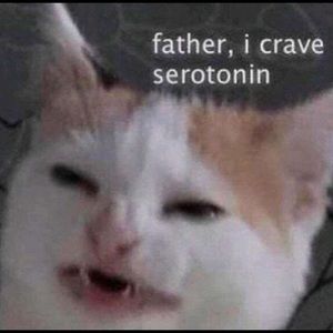 Meet your Posher, Caden